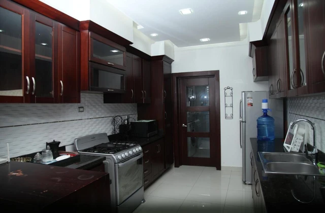 Verdana Rental Santiago Apartment Kitchen 1